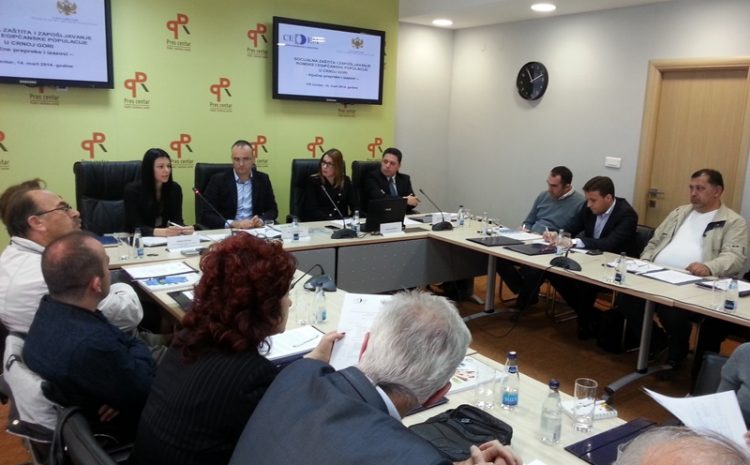  CEDEM predstavio studije o socijalnoj zaštiti i zapošljavanju RE populacije