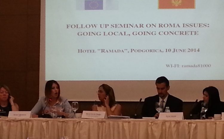 Seminar: Integracija RE populacije u Crnoj Gori – Lokalni pristup, konkretan pristup