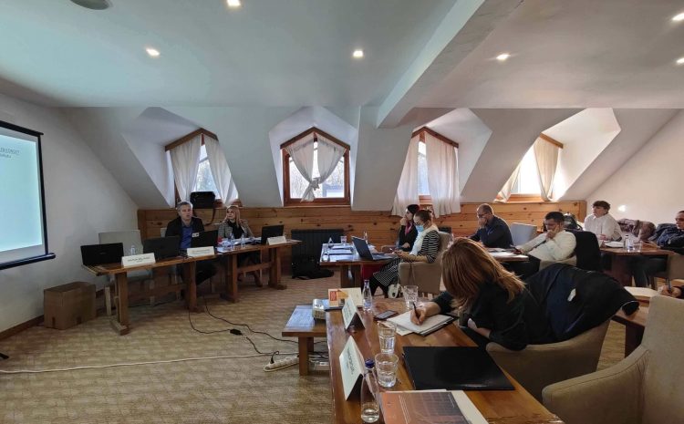 “Application of Alternative Detention Measures in the context of Migration”